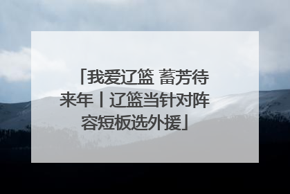 我爱辽篮 蓄芳待来年丨辽篮当针对阵容短板选外援