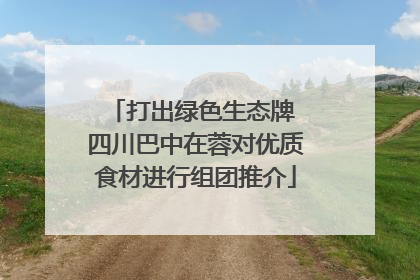 打出绿色生态牌 四川巴中在蓉对优质食材进行组团推介