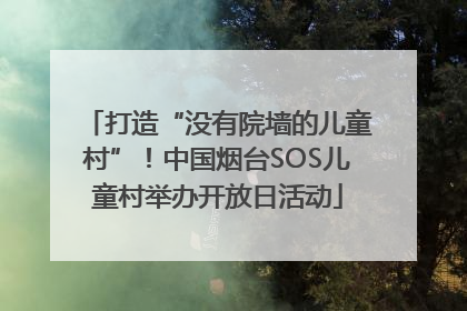 打造“没有院墙的儿童村”！中国烟台SOS儿童村举办开放日活动