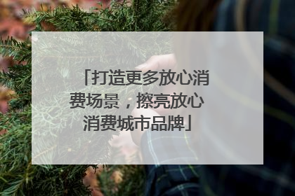 打造更多放心消费场景，擦亮放心消费城市品牌