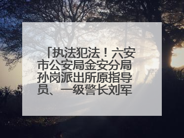 执法犯法！六安市公安局金安分局孙岗派出所原指导员、一级警长刘军被“双开”