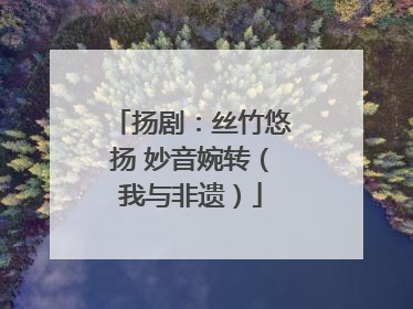 扬剧：丝竹悠扬 妙音婉转（我与非遗）