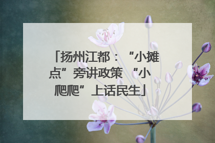 扬州江都：“小摊点”旁讲政策 “小爬爬”上话民生