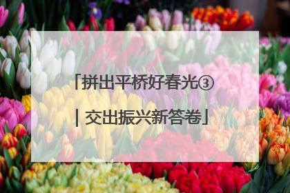 拼出平桥好春光③｜交出振兴新答卷