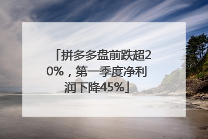 拼多多盘前跌超20%，第一季度净利润下降45%