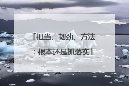 担当、韧劲、方法：根本还是抓落实