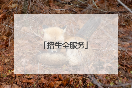 招生全服务