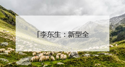 李东生：新型全球化是中国企业发展的主要驱动力，应构建全球经营和供应链体系
