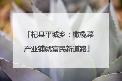 杞县平城乡：橄榄菜产业铺就富民新道路