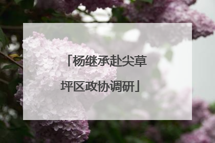 杨继承赴尖草坪区政协调研