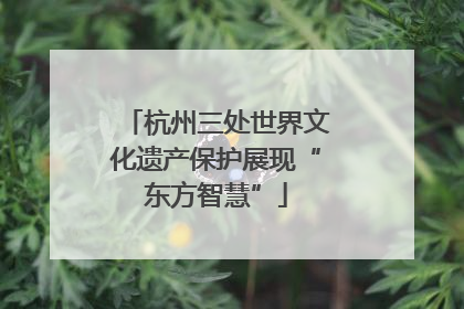 杭州三处世界文化遗产保护展现“东方智慧”