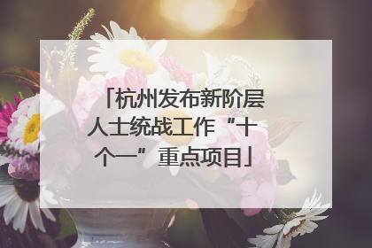 杭州发布新阶层人士统战工作“十个一”重点项目
