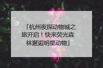 杭州夜探动物城之旅开启！快来荧光森林邂逅明星动物
