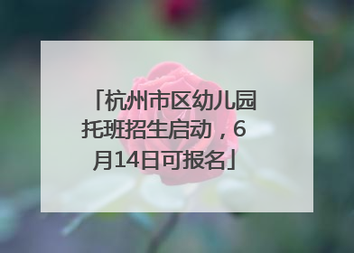杭州市区幼儿园托班招生启动，6月14日可报名