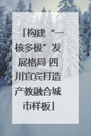 构建“一核多极”发展格局 四川宜宾打造产教融合城市样板