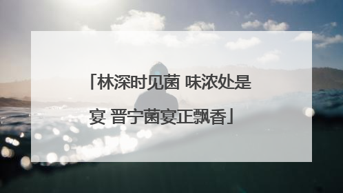 林深时见菌 味浓处是宴 晋宁菌宴正飘香
