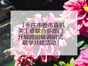 枣庄市委市直机关工委联合多部门开展跨层级调研式联学共建活动