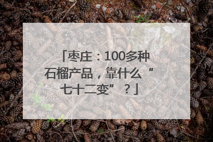 枣庄：100多种石榴产品，靠什么“七十二变”？
