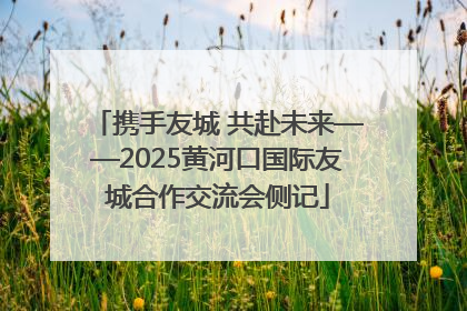 携手友城 共赴未来——2025黄河口国际友城合作交流会侧记