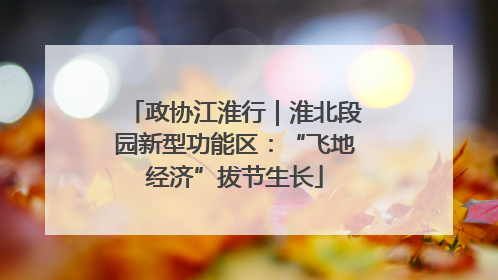 政协江淮行｜淮北段园新型功能区：“飞地经济”拔节生长