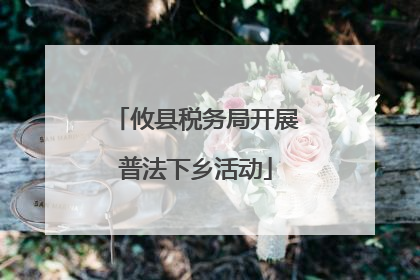 攸县税务局开展普法下乡活动