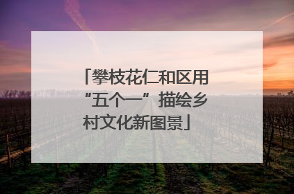 攀枝花仁和区用“五个一”描绘乡村文化新图景