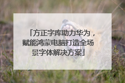 方正字库助力华为，赋能鸿蒙电脑打造全场景字体解决方案