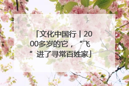 文化中国行丨2000多岁的它，“飞”进了寻常百姓家