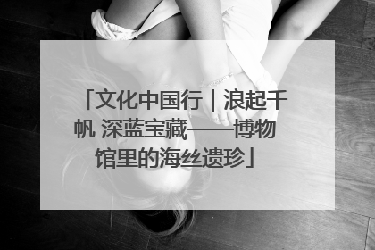 文化中国行｜浪起千帆 深蓝宝藏——博物馆里的海丝遗珍