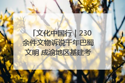 文化中国行｜230余件文物诉说千年巴蜀文明 成渝地区基建考古成果展开展
