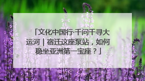 文化中国行·千问千寻大运河｜宿迁这座泵站，如何稳坐亚洲第一宝座？