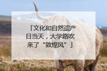 文化和自然遗产日当天，大学路吹来了“敦煌风”