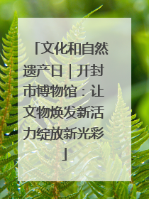 文化和自然遗产日｜开封市博物馆：让文物焕发新活力绽放新光彩