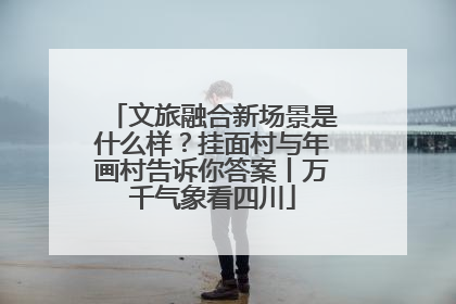 文旅融合新场景是什么样？挂面村与年画村告诉你答案丨万千气象看四川