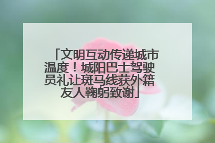文明互动传递城市温度！城阳巴士驾驶员礼让斑马线获外籍友人鞠躬致谢