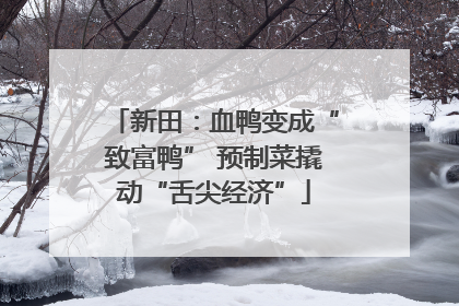 新田：血鸭变成“致富鸭” 预制菜撬动“舌尖经济”