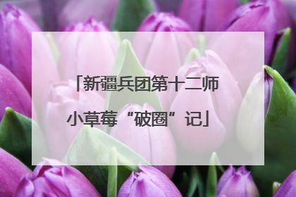 新疆兵团第十二师小草莓“破圈”记