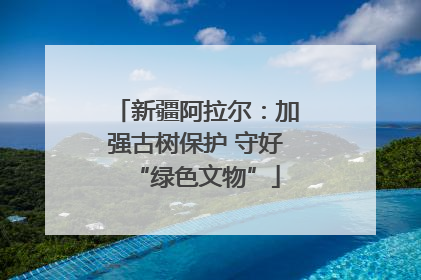 新疆阿拉尔：加强古树保护 守好“绿色文物”