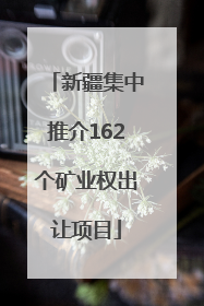 新疆集中推介162个矿业权出让项目