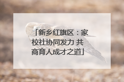 新乡红旗区：家校社协同发力 共商育人成才之道