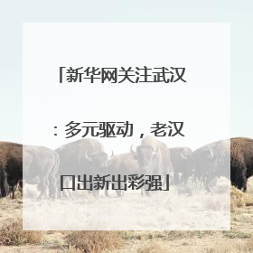 新华网关注武汉：多元驱动，老汉口出新出彩强