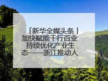 新华全媒头条丨加快赋能千行百业 持续优化产业生态——浙江推动人工智能健康有序发展观察