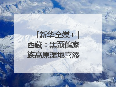 新华全媒+｜西藏：黑颈鹤家族高原湿地喜添“萌宝”