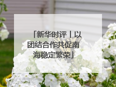 新华时评丨以团结合作共促南海稳定繁荣