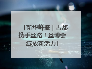 新华鲜报｜古都携手丝路！丝博会绽放新活力