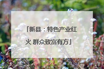 新县：特色产业红火 群众致富有方