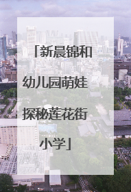 新晨锦和幼儿园萌娃探秘莲花街小学