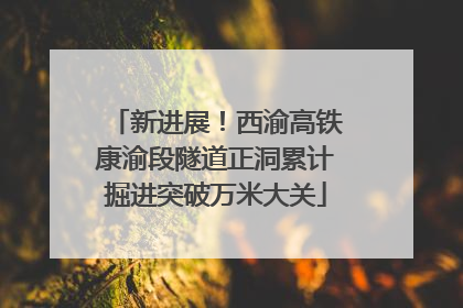 新进展！西渝高铁康渝段隧道正洞累计掘进突破万米大关