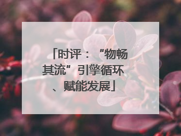 时评：“物畅其流”引擎循环、赋能发展