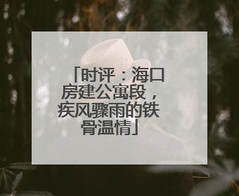 时评：海口房建公寓段，疾风骤雨的铁骨温情